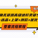 闲鱼无货源高级进阶卖货5.0，养号+选品+上架+测款+优化+出单整套流程教程