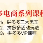 拼多多电商系列课程3套：拼多多三大黑车+拼多多活动玩法+拼多多VIP课程
