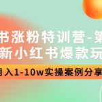 小红书涨粉加盟站长-第四期：最新小红书爆款玩法，月入1-10w实操案例分享