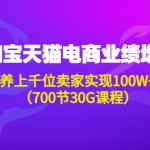 淘系天猫电商业绩增长：已培养上千位卖家实现100W+利润（700节30G课程）