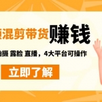 短视频带货赚钱混剪加盟站长：无需囤货发货 拍摄 露脸 直播，4大平台可操作