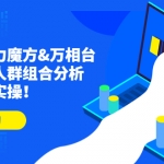 达摩盘引力魔方&万相台投放课：人群组合分析，高效投放实操！