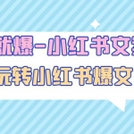 一写就爆-小红书文案课：带你玩转小红收爆文写作（45节课）