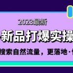 拼多多-新品打爆实操流程：轻松快速拉搜索自然流量，更落地·快速提升!