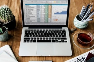 Microsoft Excel：解锁公式、图表和分析 Microsoft Excel: Unlocking Formulas, Charts, and Analytics