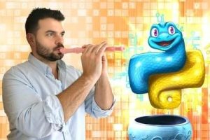 【Udemy中英字幕】Master Python for Data Analysis and Business Analytics 2025