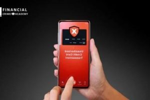 【Udemy中英字幕】Effective Fraud Detection and Fraud Investigation Bootcamp