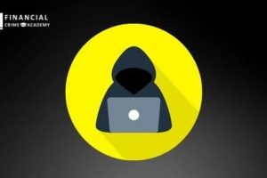 【Udemy中英字幕】Fraud Risk Management, Assessment & Fraud Analysis Bootcamp