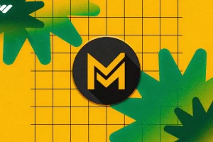 MagnatesMedia YouTube百万富翁系统 997 美刀【全套译制】