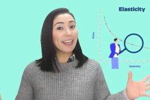 【Udemy中英字幕】Economics: Price Elasticity Shaping Market Dynamics